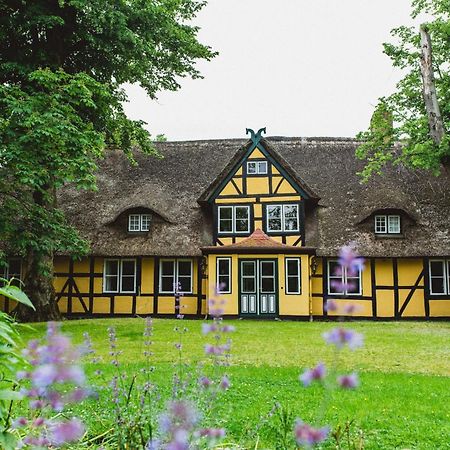 Herrenhaus Gut Dorotheenthal Damp Bagian luar foto